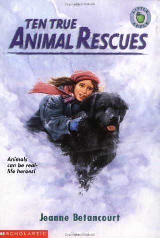 Ten True Animal Rescues