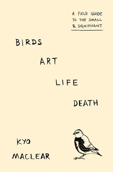 Birds Art Life