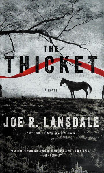 The thicket