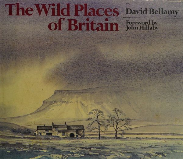 The wild places of Britain