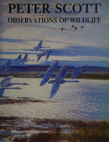 Peter Scott Observations of Wildlife