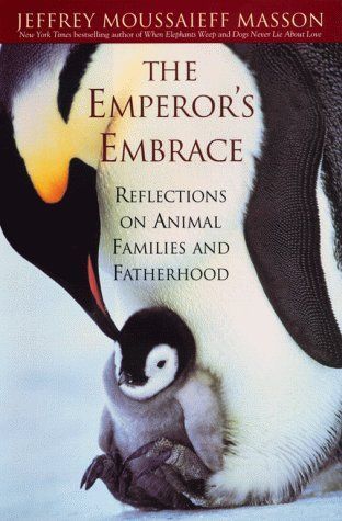 The Emperors Embrace Reflections On Animal Families And Fatherhood