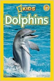 Dolphins