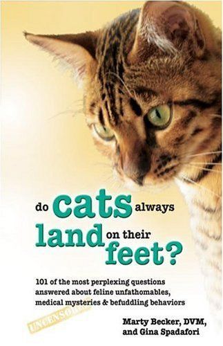 Do Cats Always Land on Their Feet?