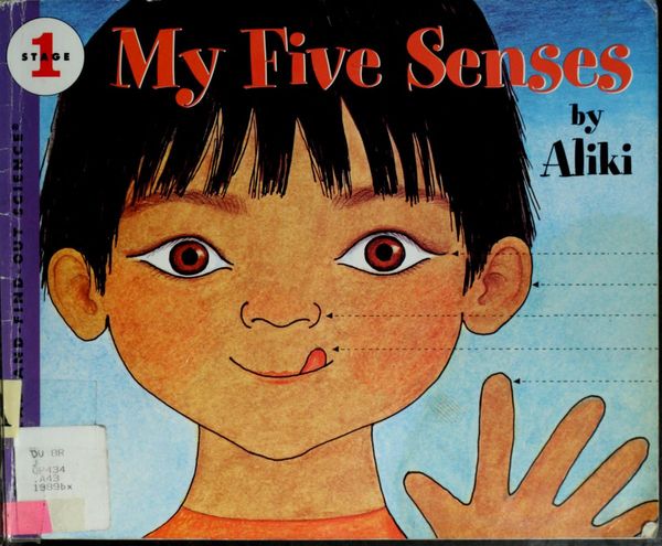 My five senses