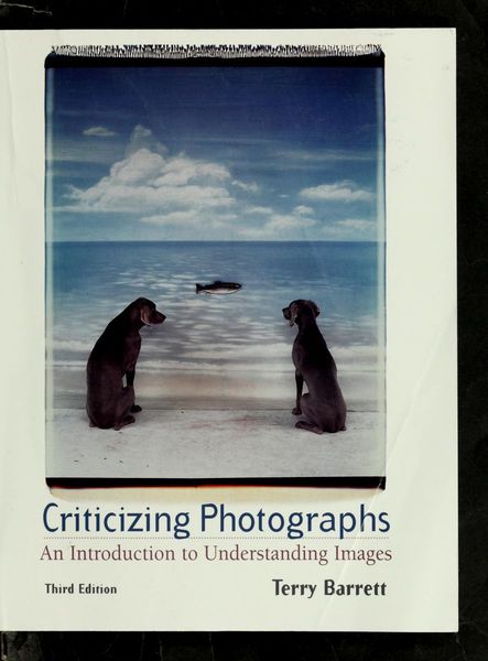 Criticizing photographs