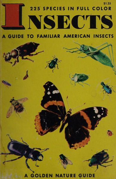 Guide to Insects