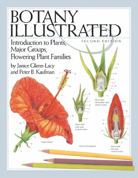 Botany illustrated