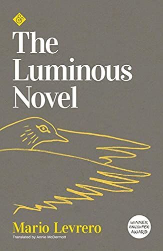 The Luminous Novel