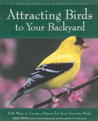 Attracting Birds to Your Backyard