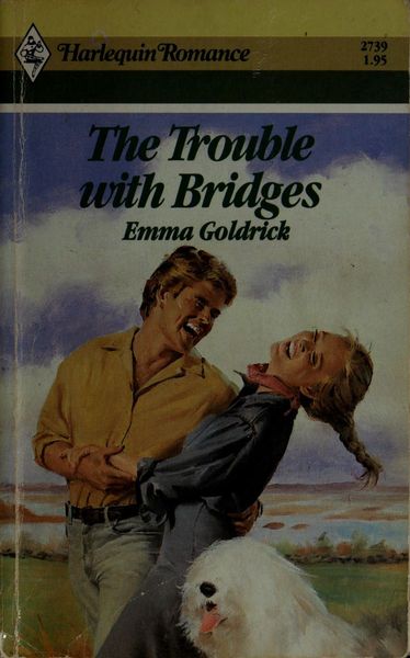 The trouble with bridges