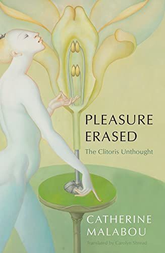 Erased Pleasure