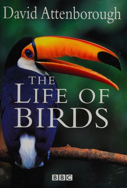 The life of birds