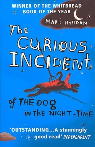 The Curious Incident of the Dog in the Night-time