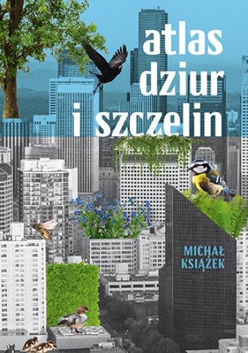 Cover of Atlas dziur i szczelin