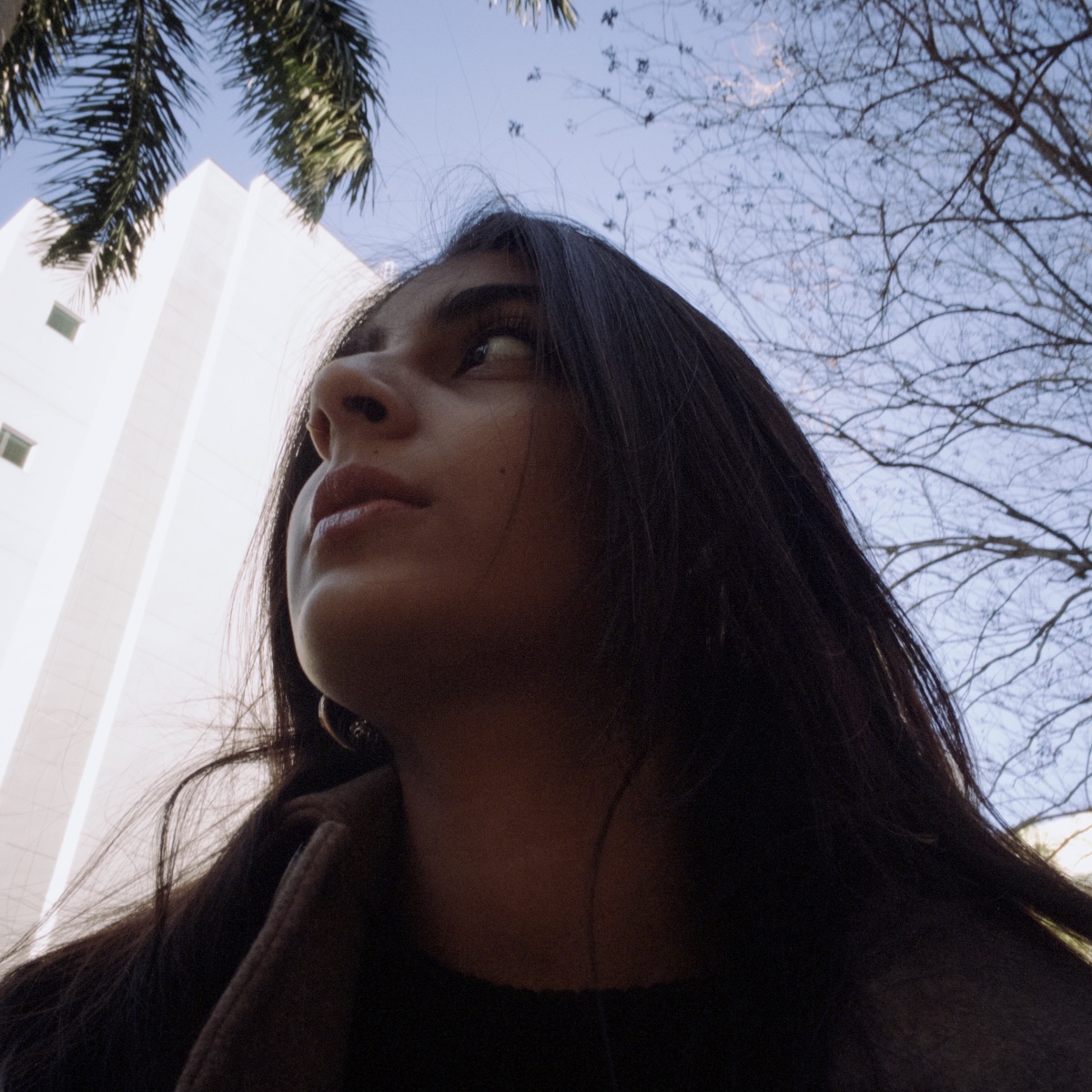 Photo of hira
