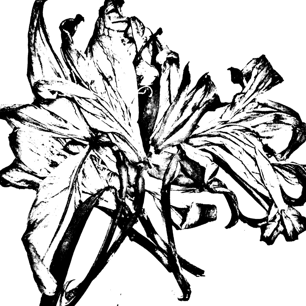 Photo of Klaudette