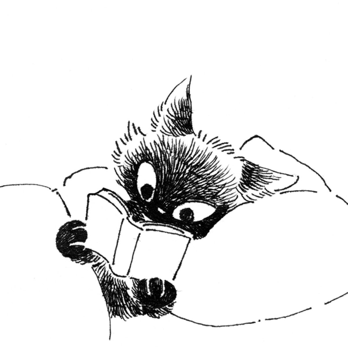 Photo of ✦