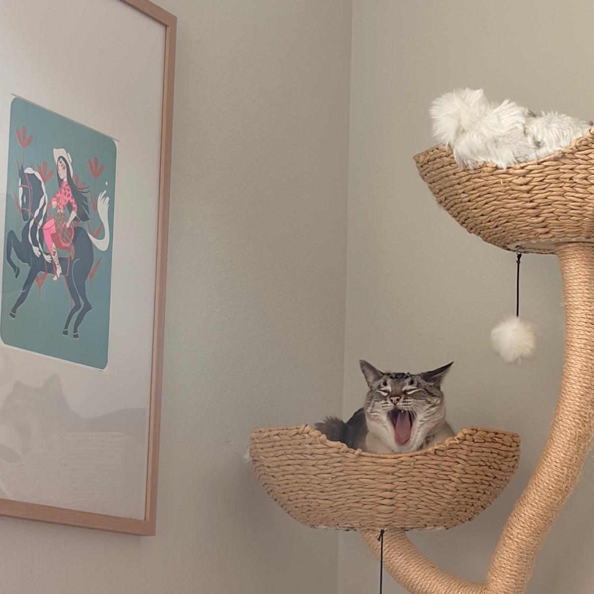 Photo of Yulez