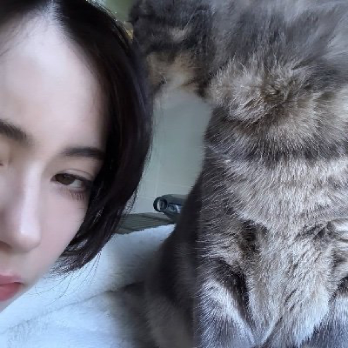 Photo of azi 蔡
