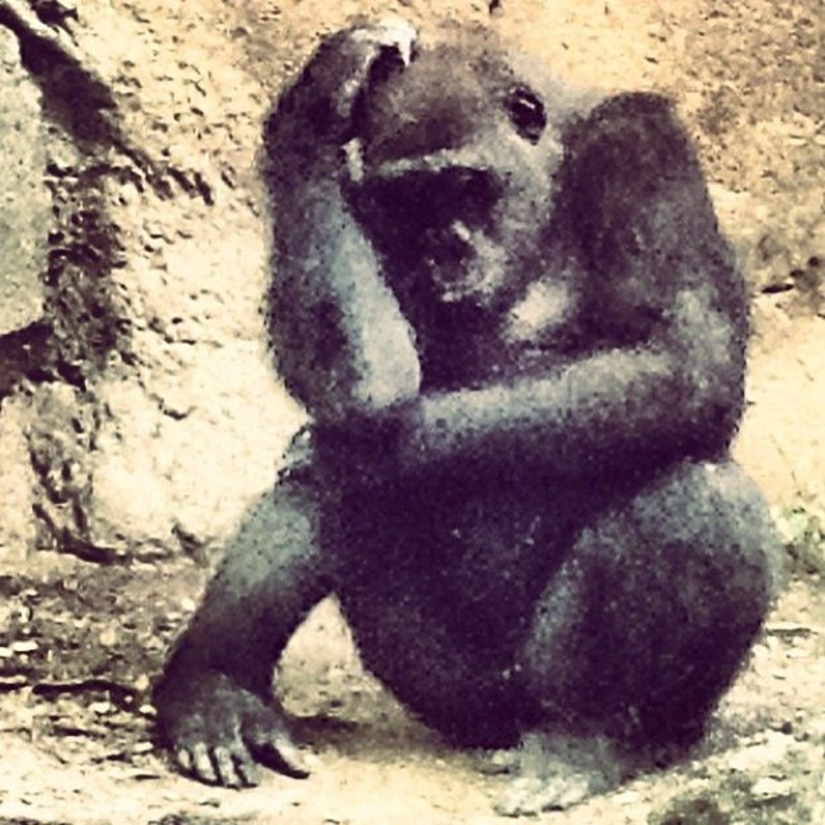 Photo of Gabriely Matias