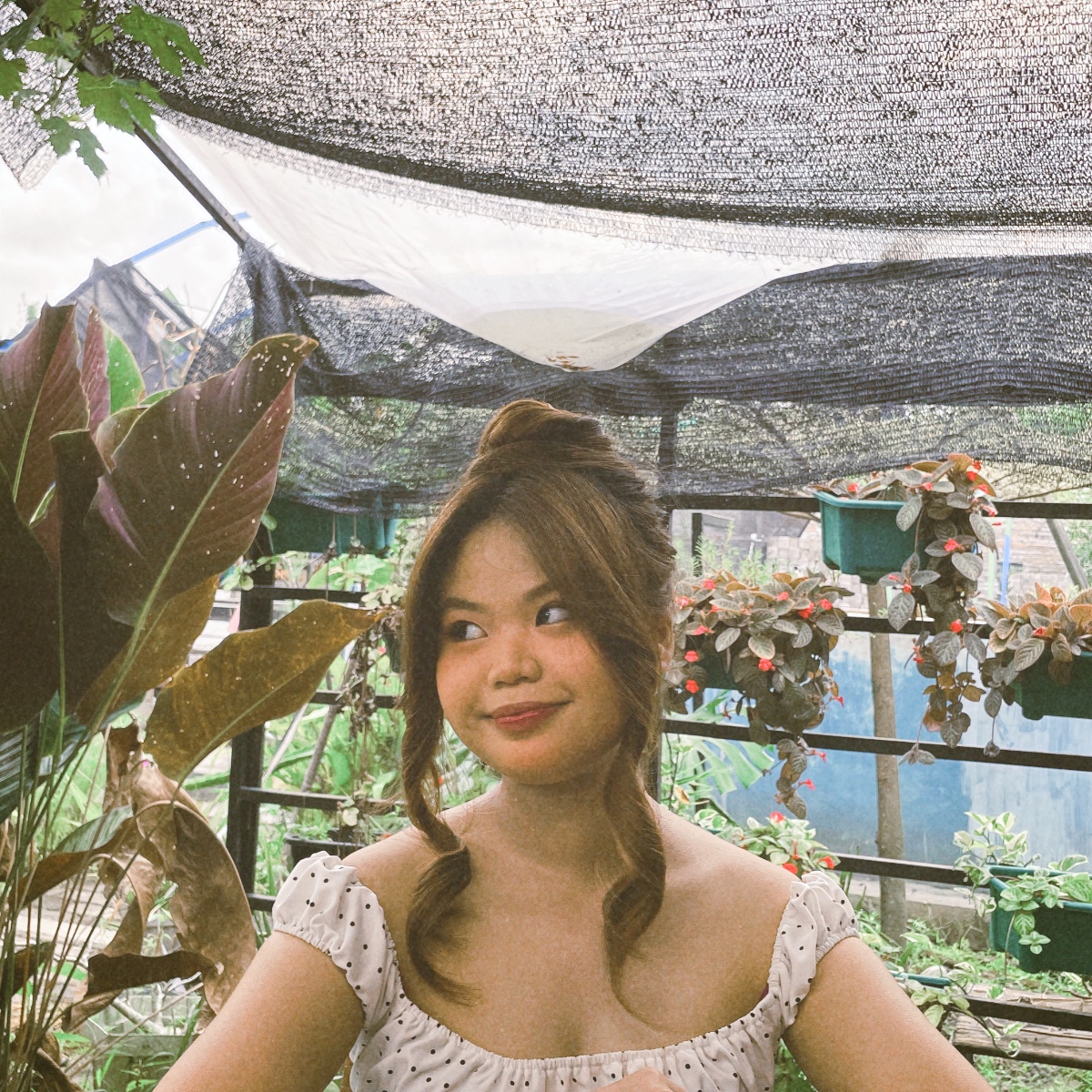 Photo of rena