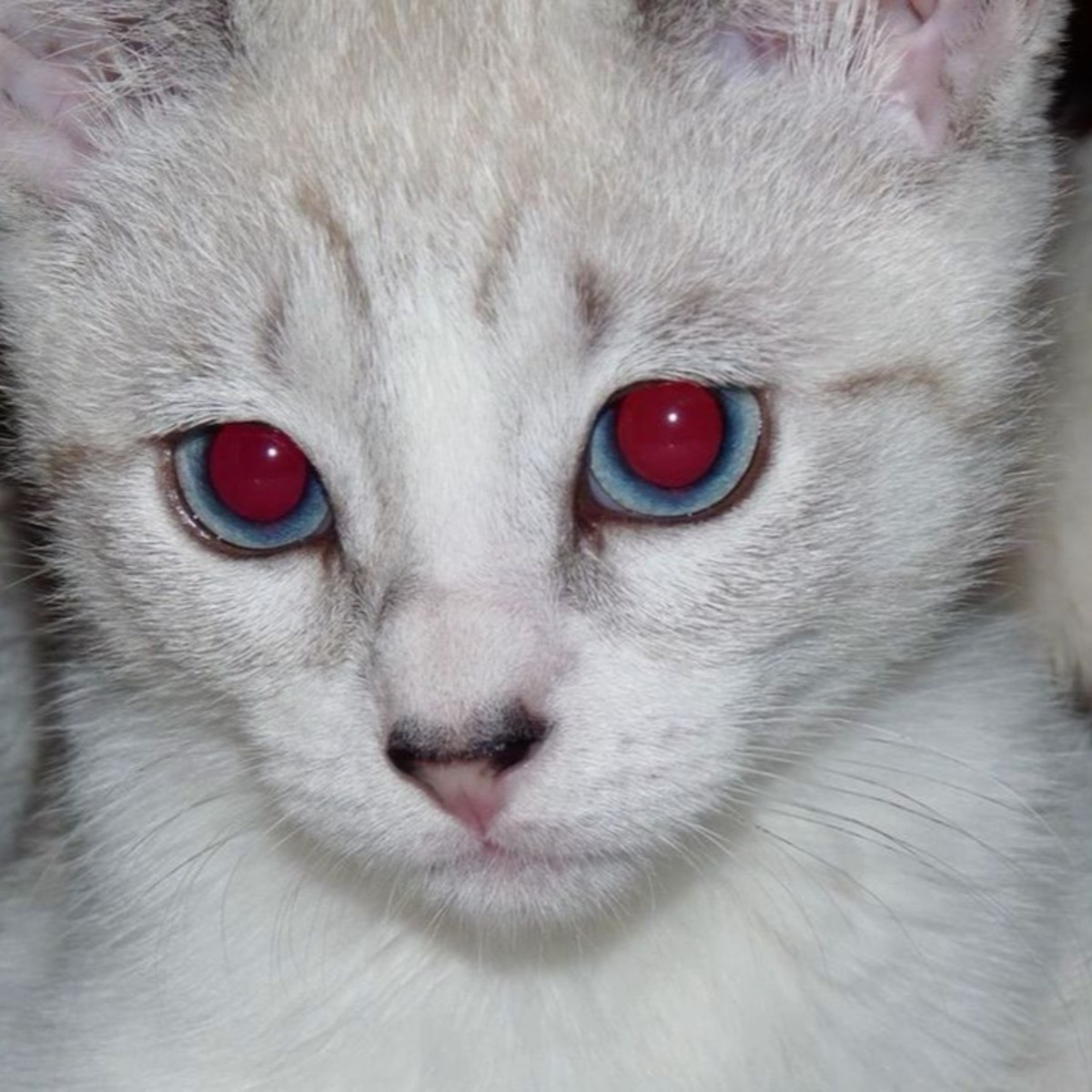 Photo of mio ⟡ˎˊ˗