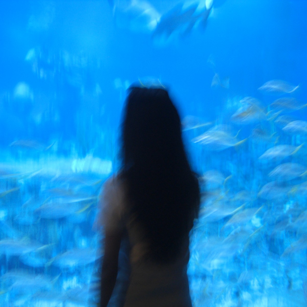 Photo of tashi dolkar