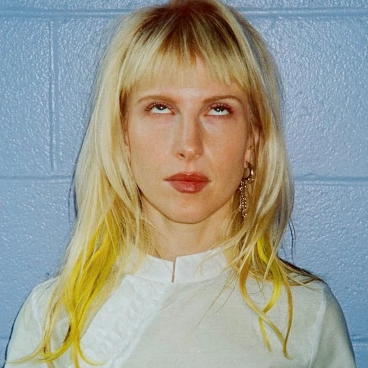 Photo of josie