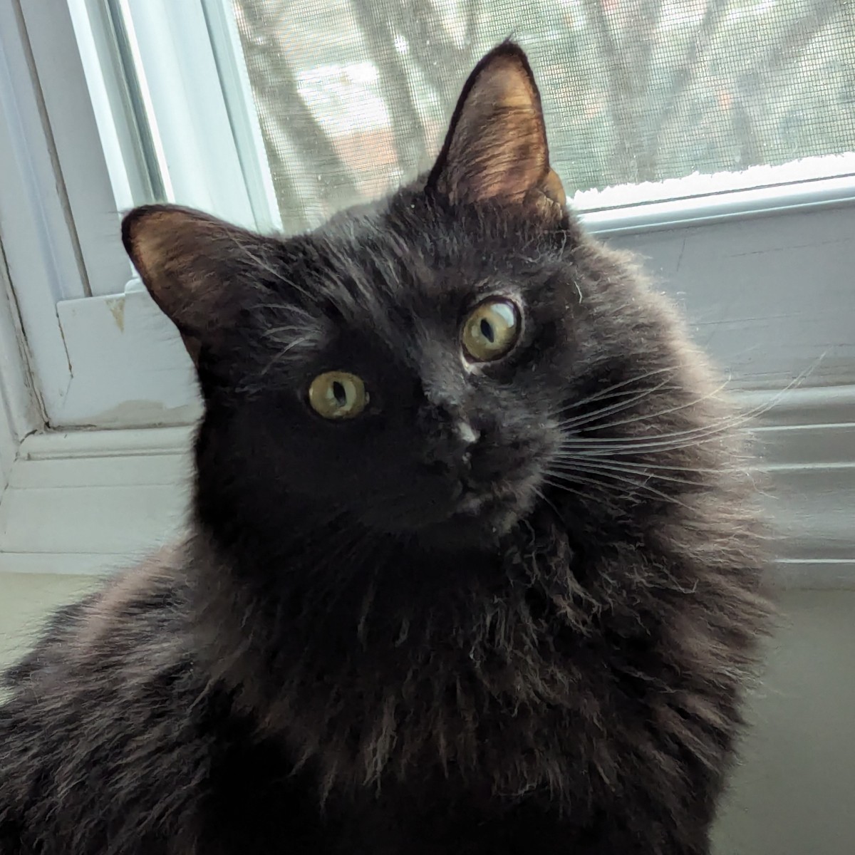 Photo of KB