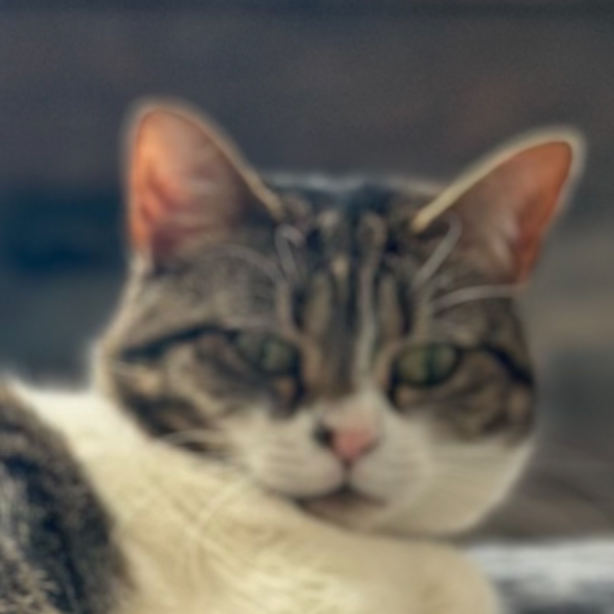 Photo of alex