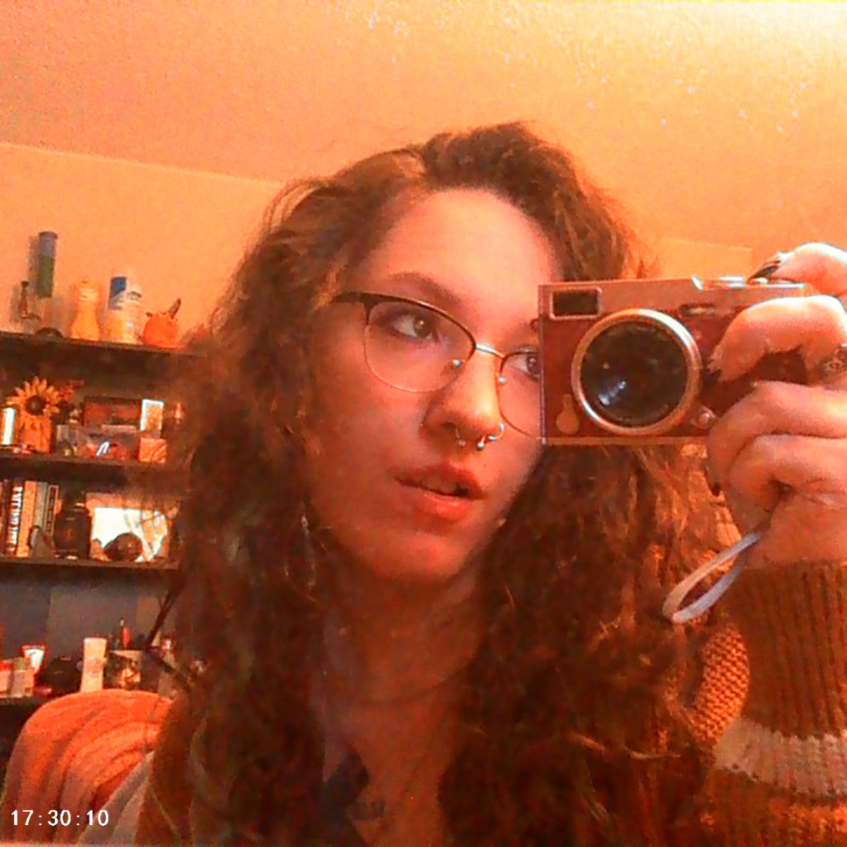 Photo of Finch