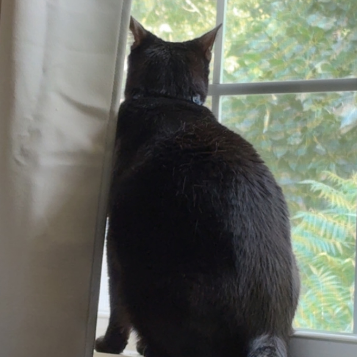 Photo of millie