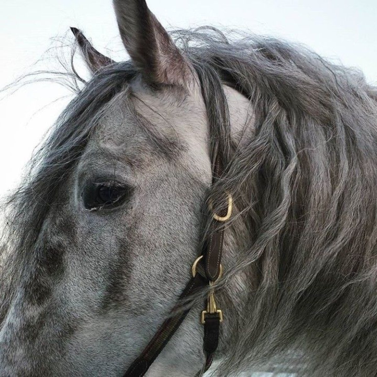 Photo of áine