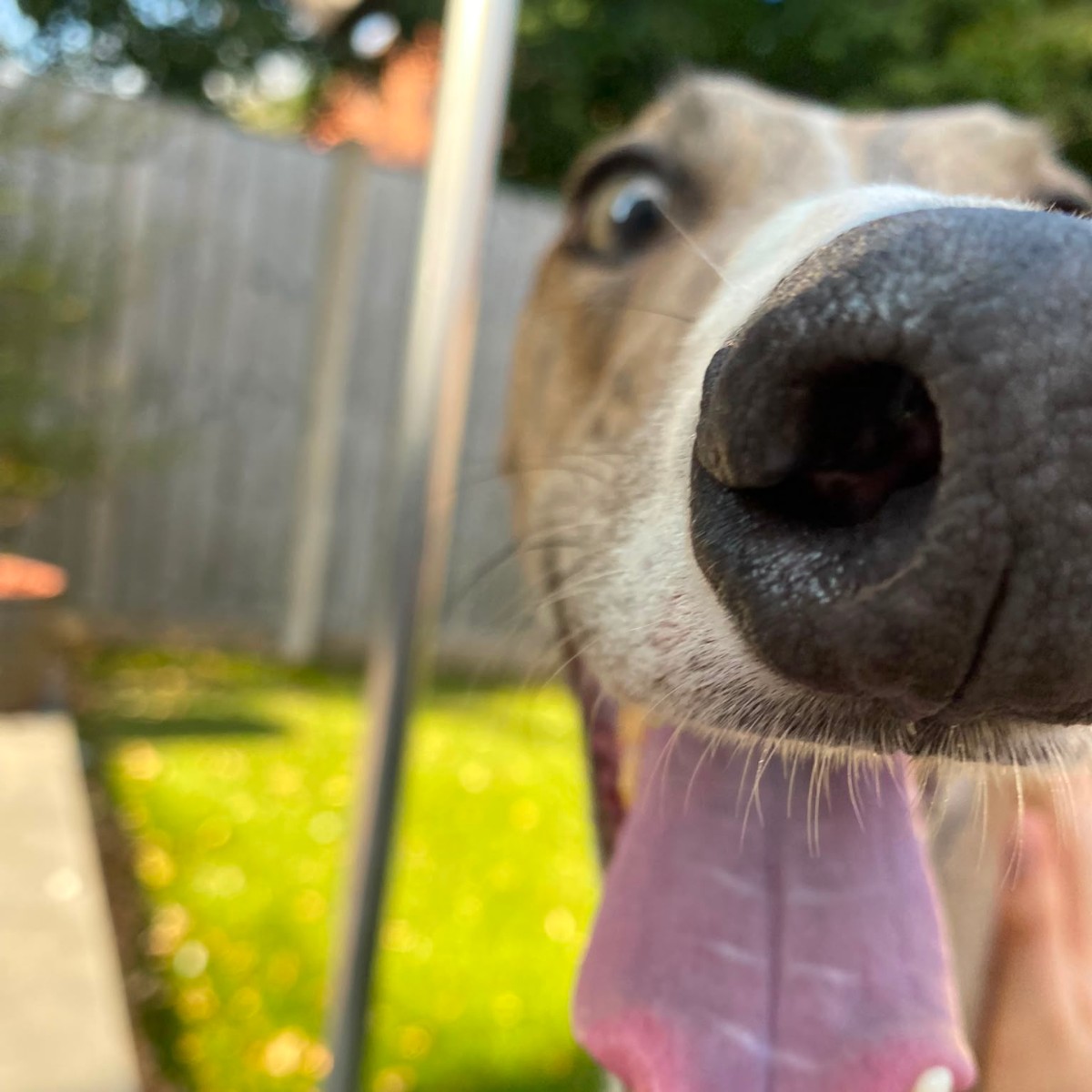Photo of Molli