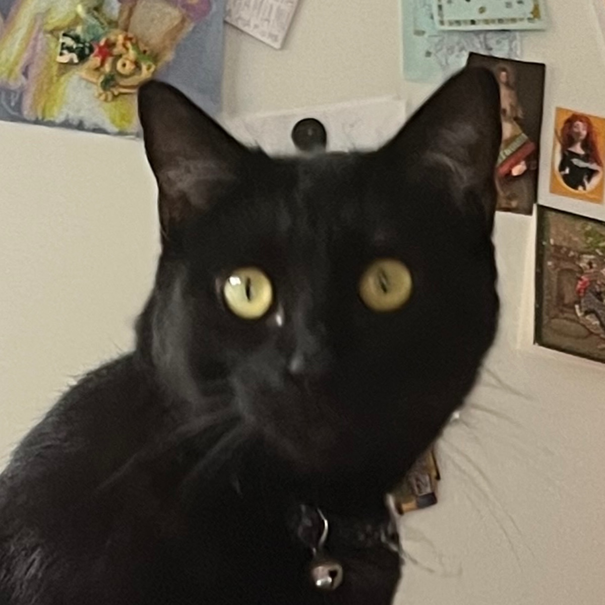Photo of Star