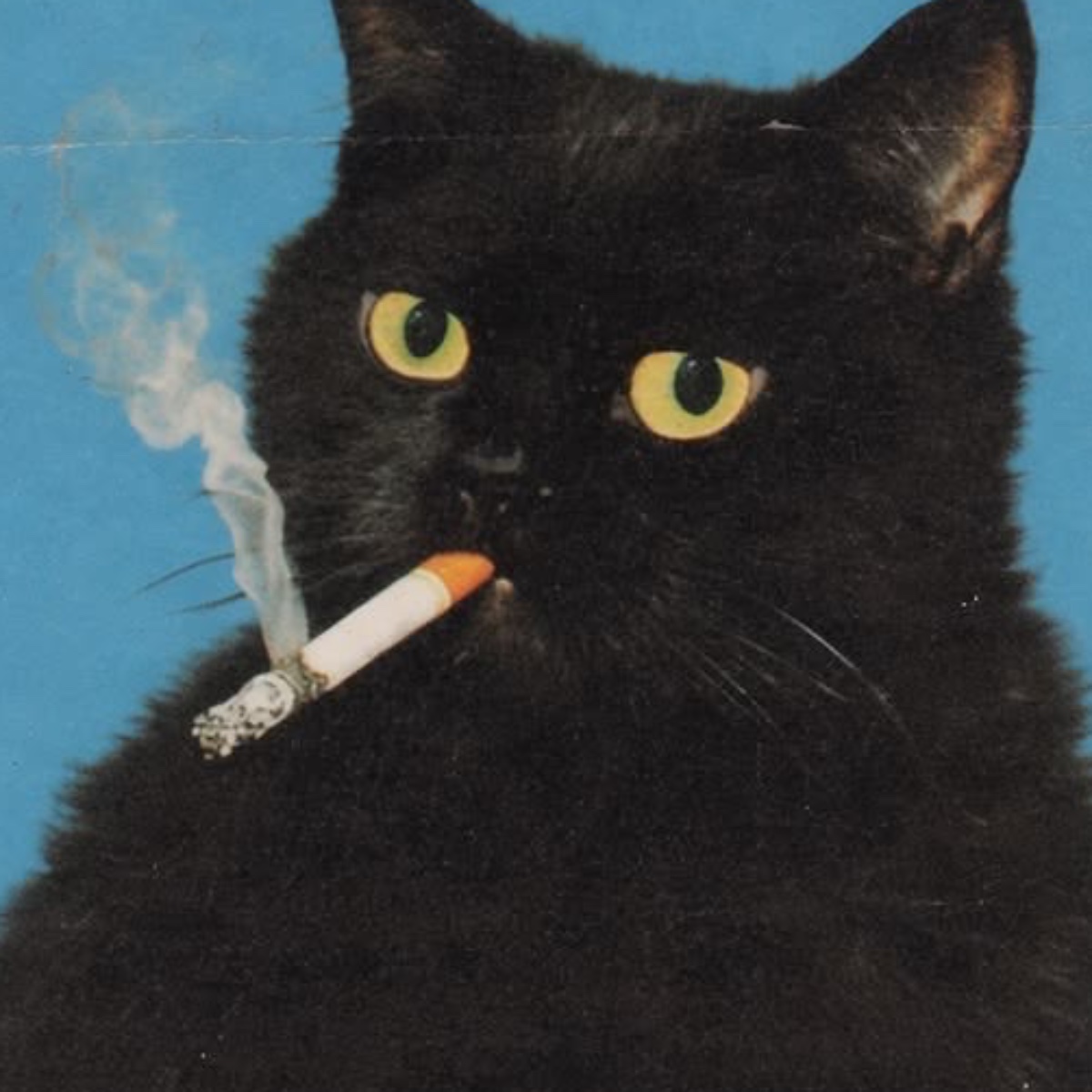 Photo of Itzubby
