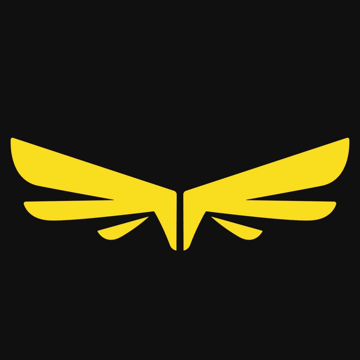 Photo of Icarus