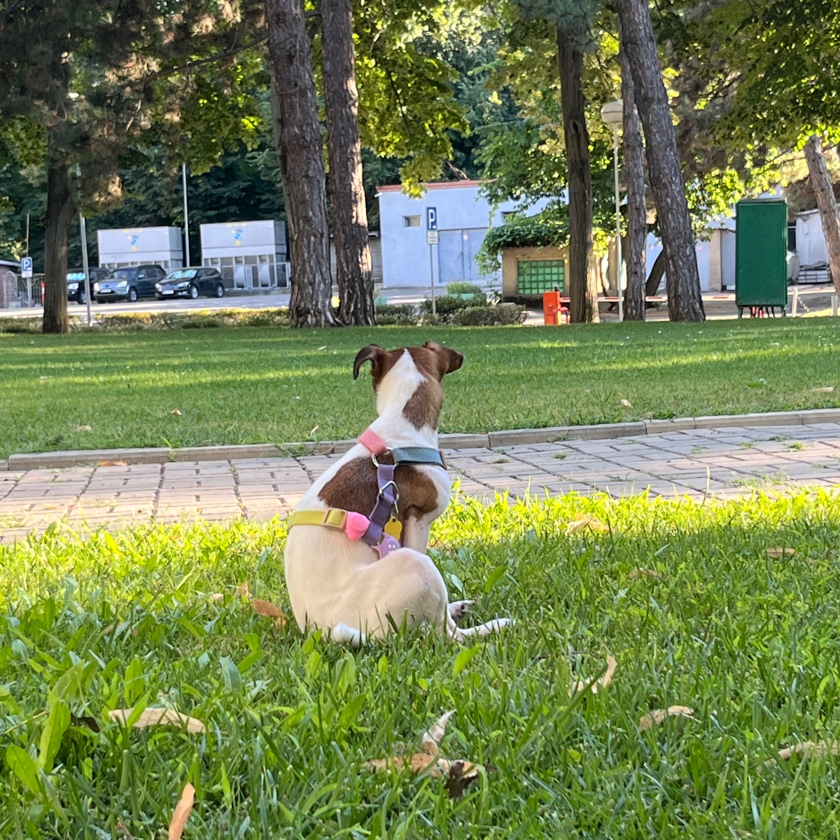 Photo of Alina