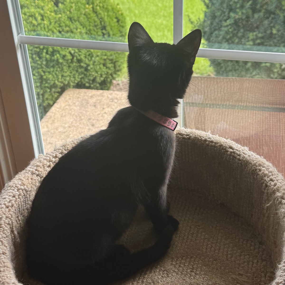 Photo of Suzie