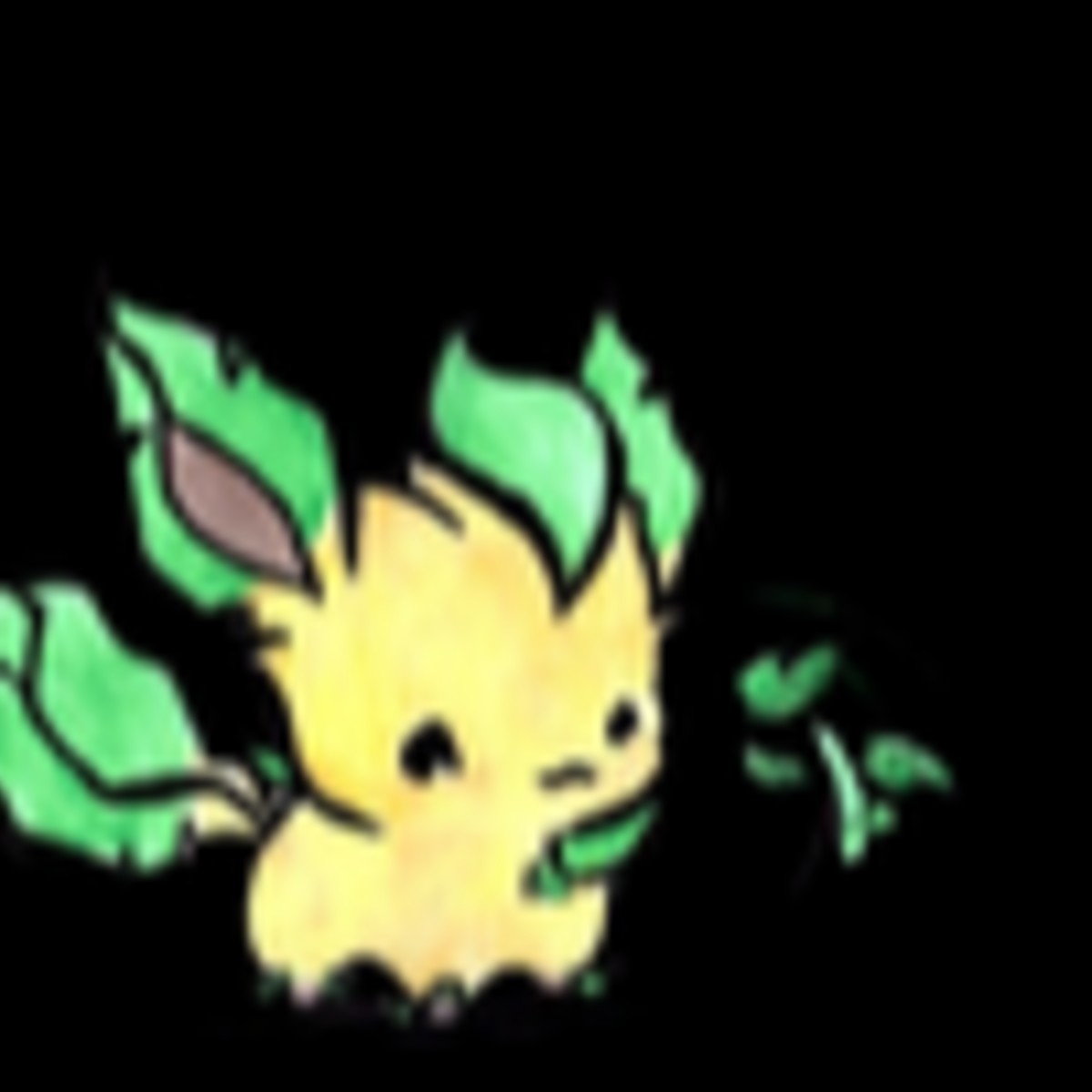 Photo of leaf