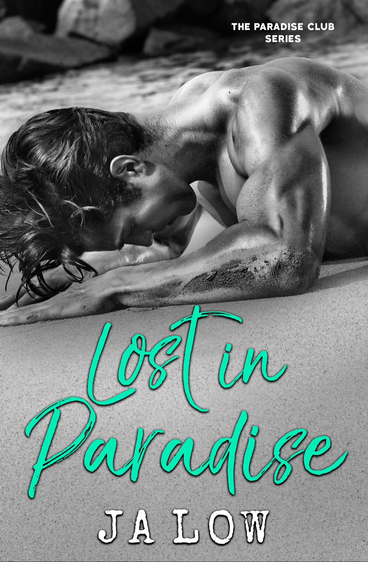 Lost In Paradise : A Billionaire Romance