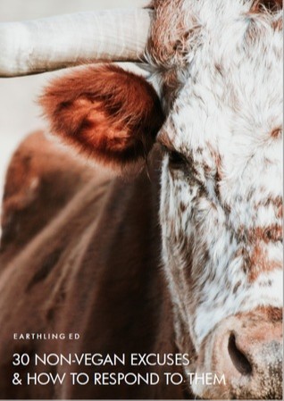30 non-vegan excuses & how to respond to them
