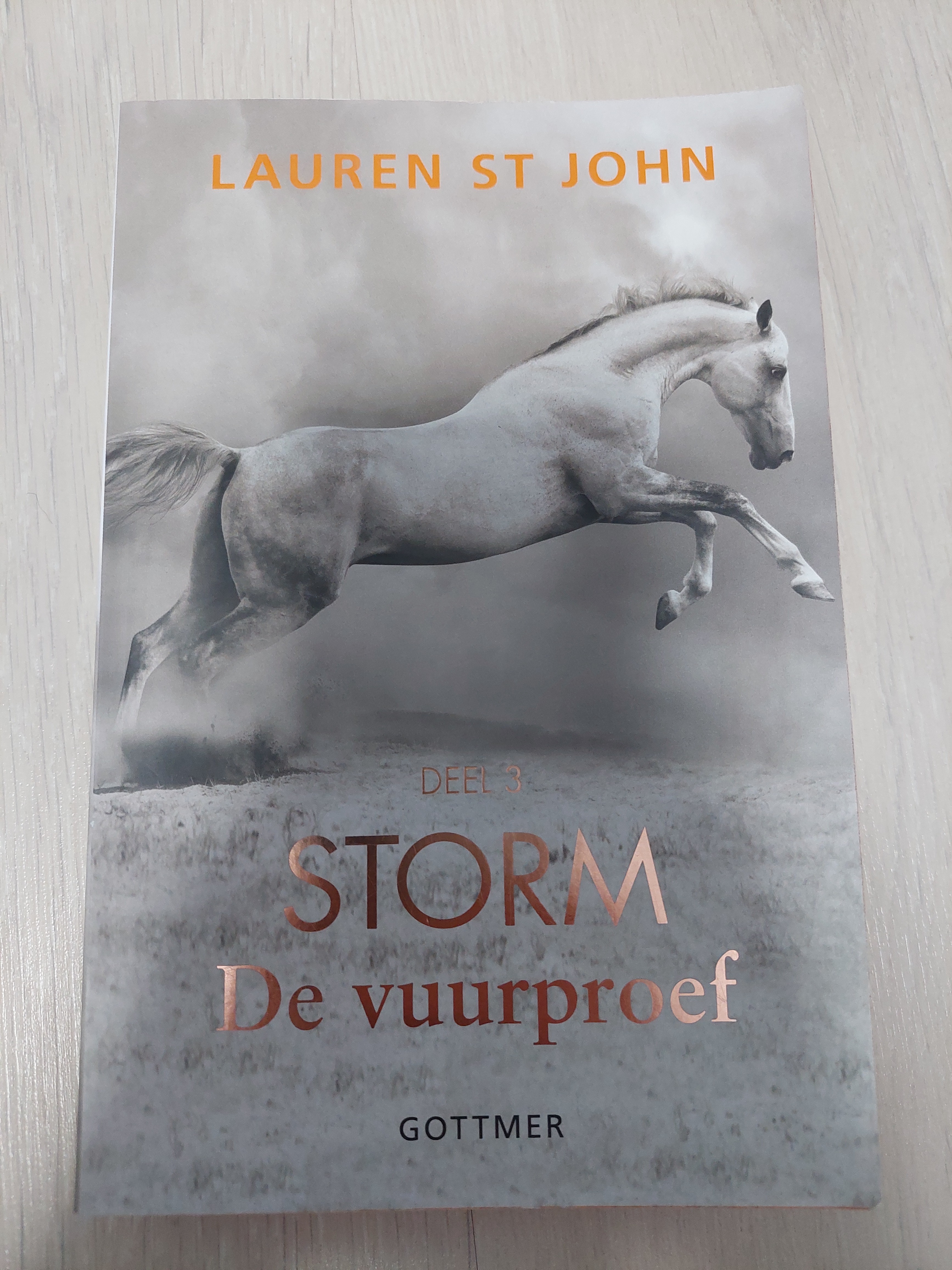 Storm de vuurproef 