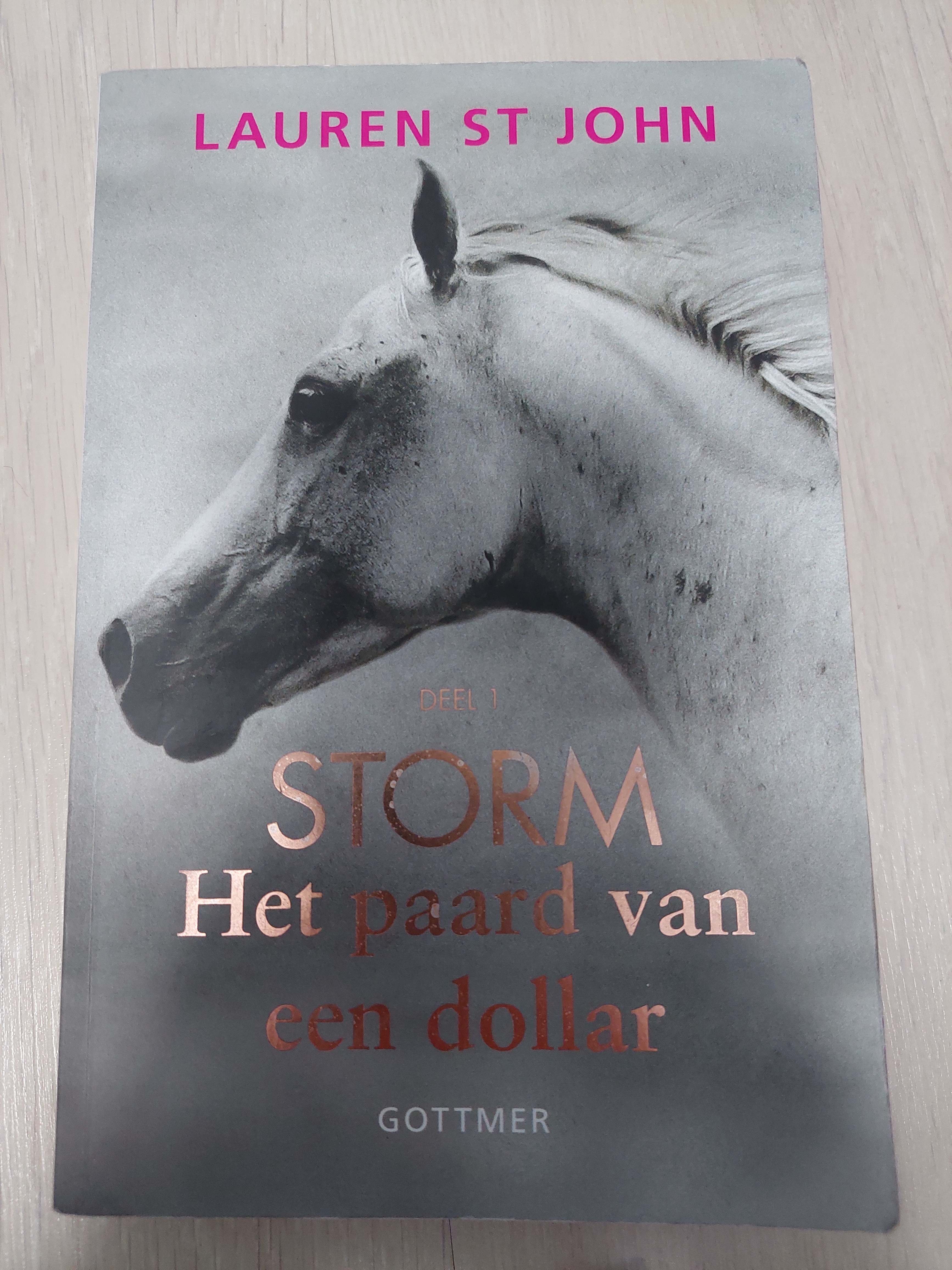 Storm Het paard van een dollar