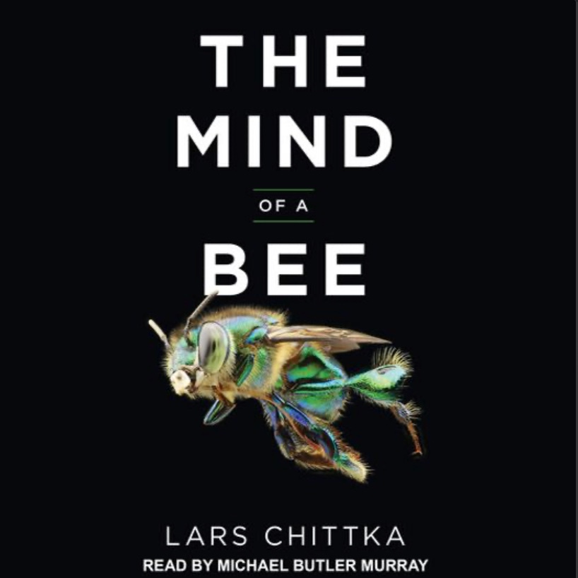 The Mind of a Bee