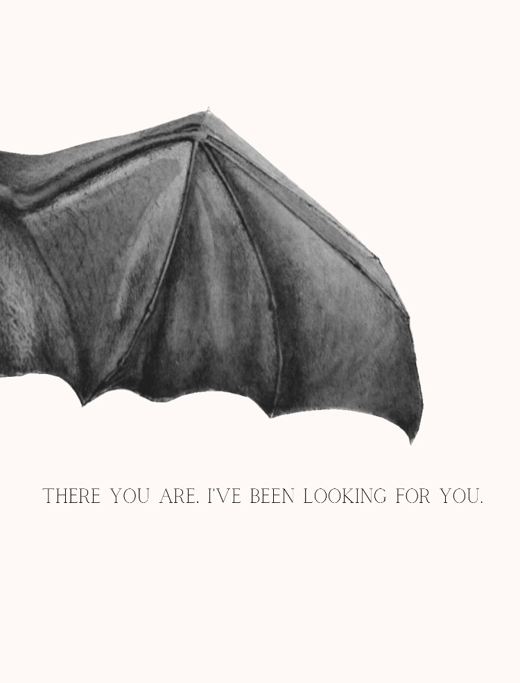 Rhys' pov, ACOMAF