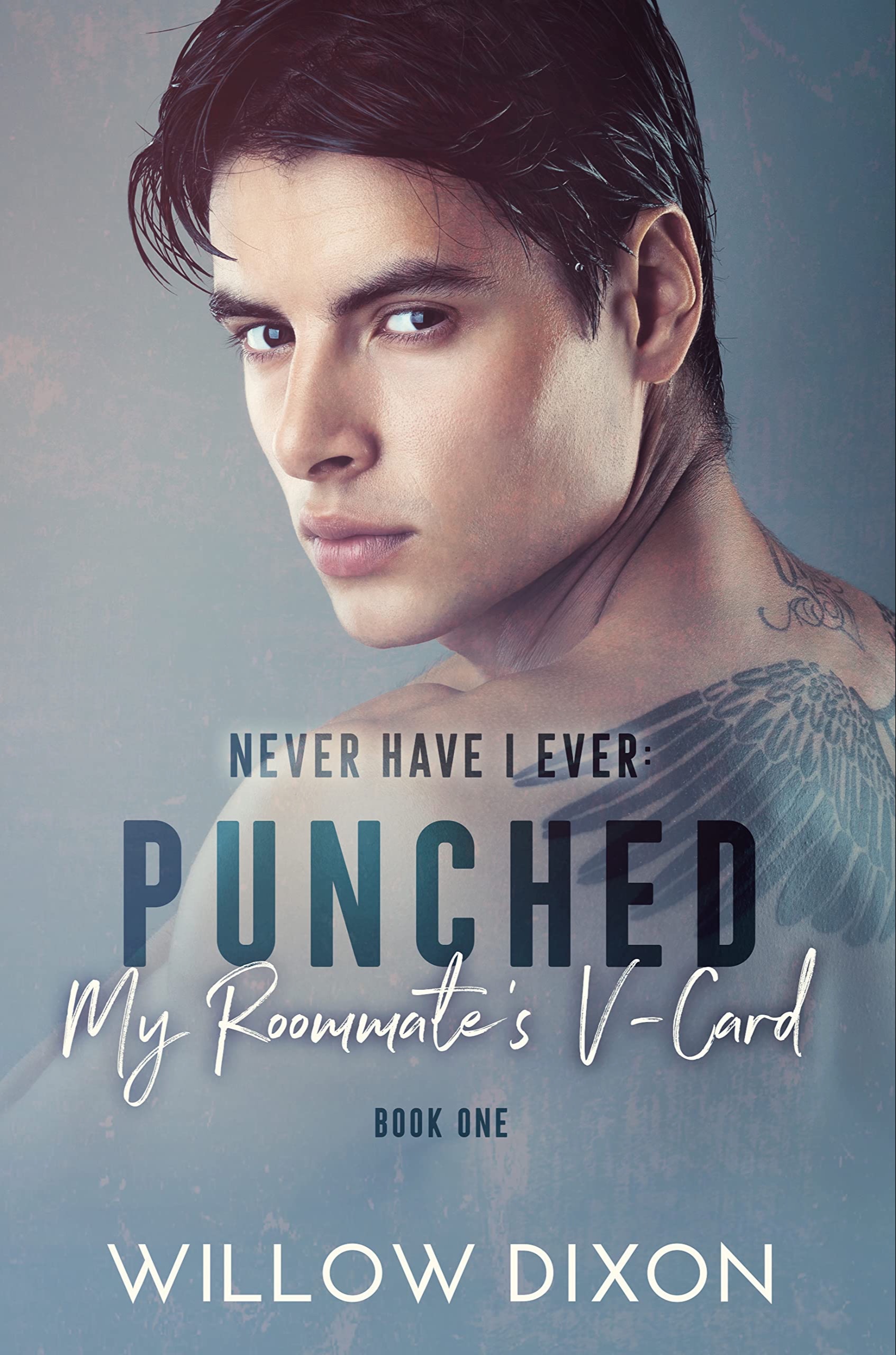 Never Have I Ever : Punched My Roommate‘s V-Card