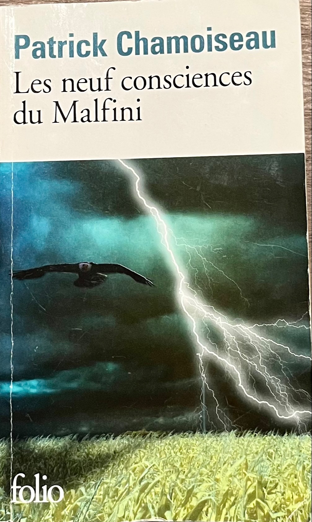 Les neufs consciences du Malfini