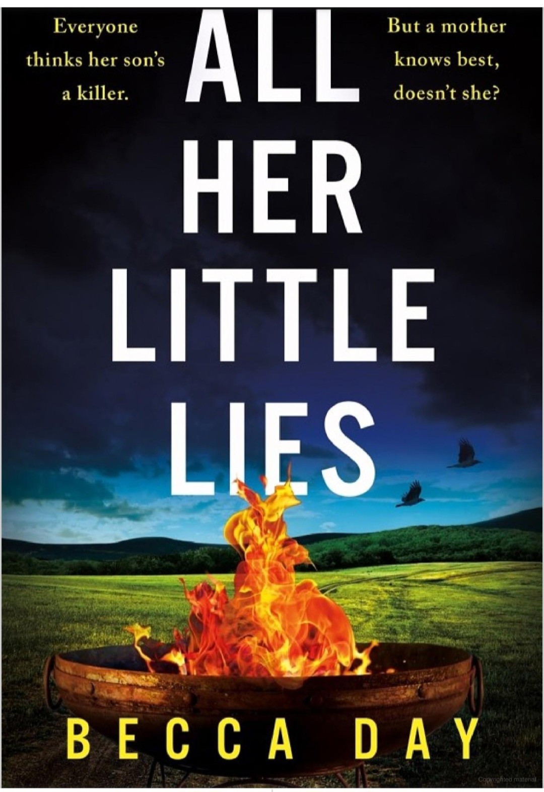 All Her Little Lies 